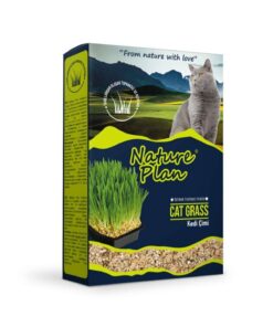 Nature Plan Kedi Çimi