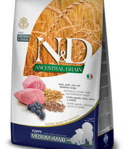 Nd Düşük Tahıllı Kuzulu ve Yabanmersinli Orta ve Büyük Irk Köpek Maması 2,5 kg