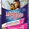 Miglior Gatto İşkembe ve Kuzulu Yaş Mama 400 gr