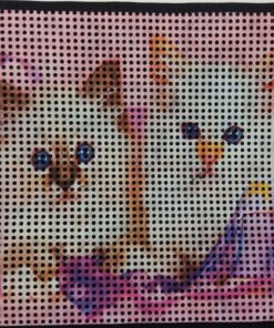 Elekli Kedi Tuvaleti Paspası